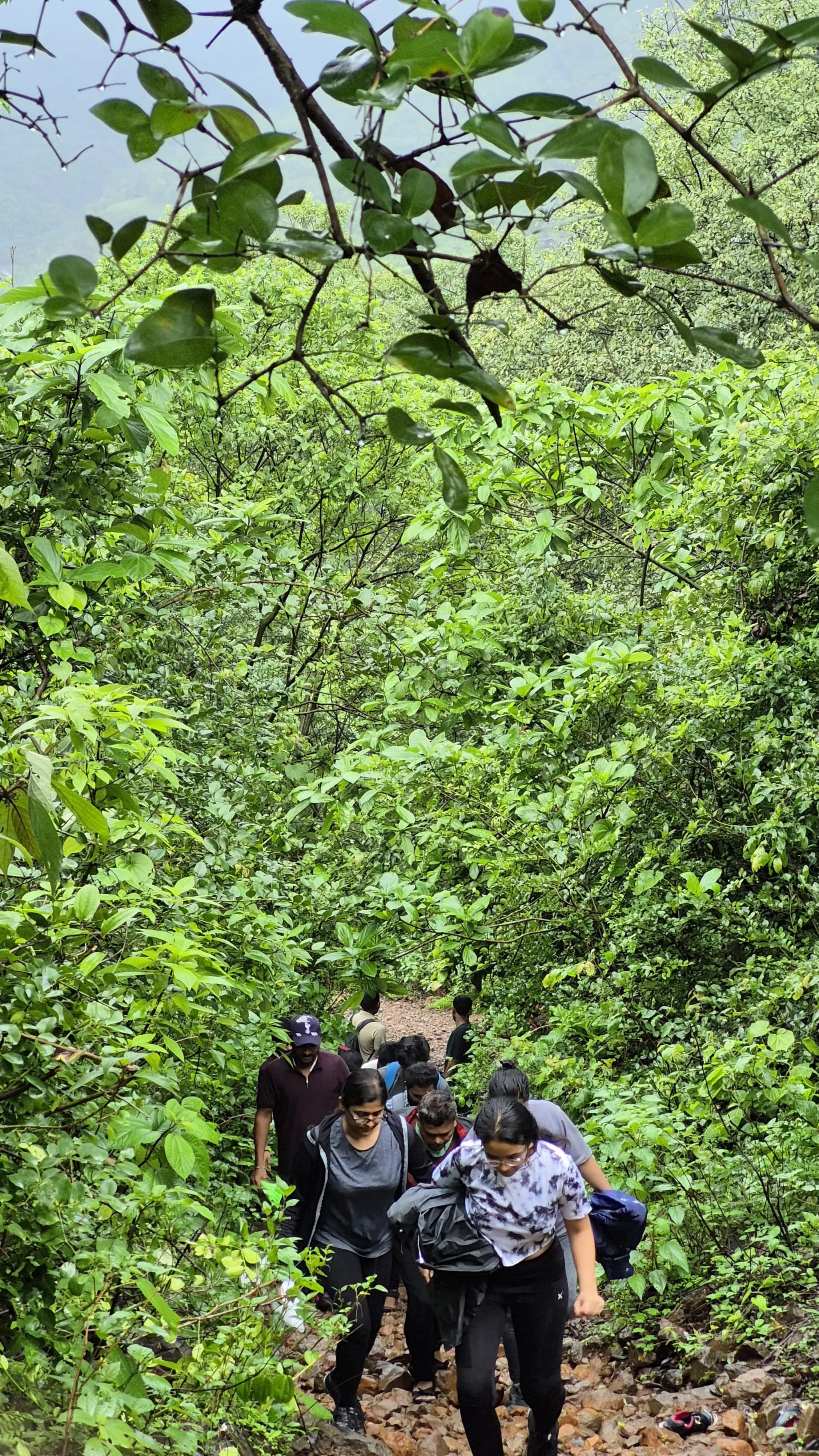 Sondai Fort Trek