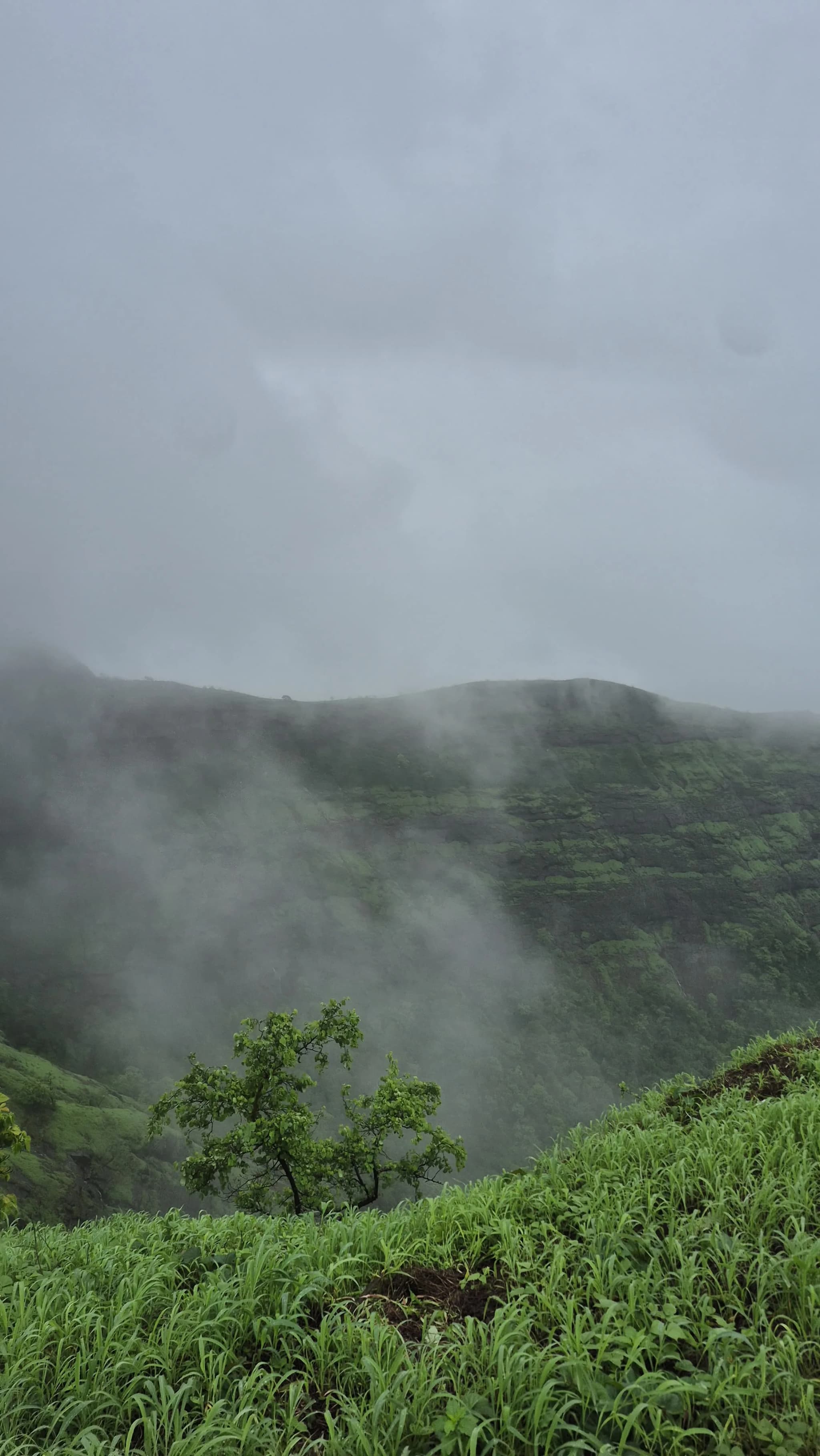 Sondai Fort Trek
