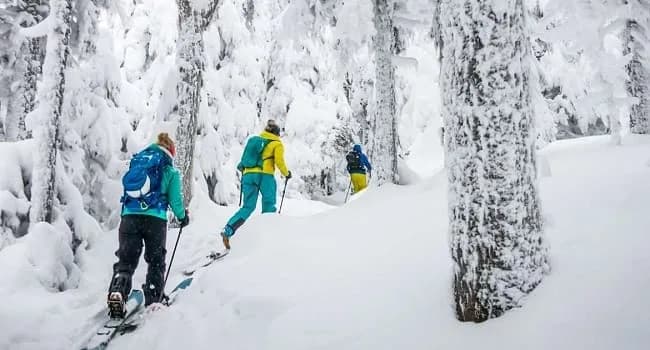 Short Trekking Course