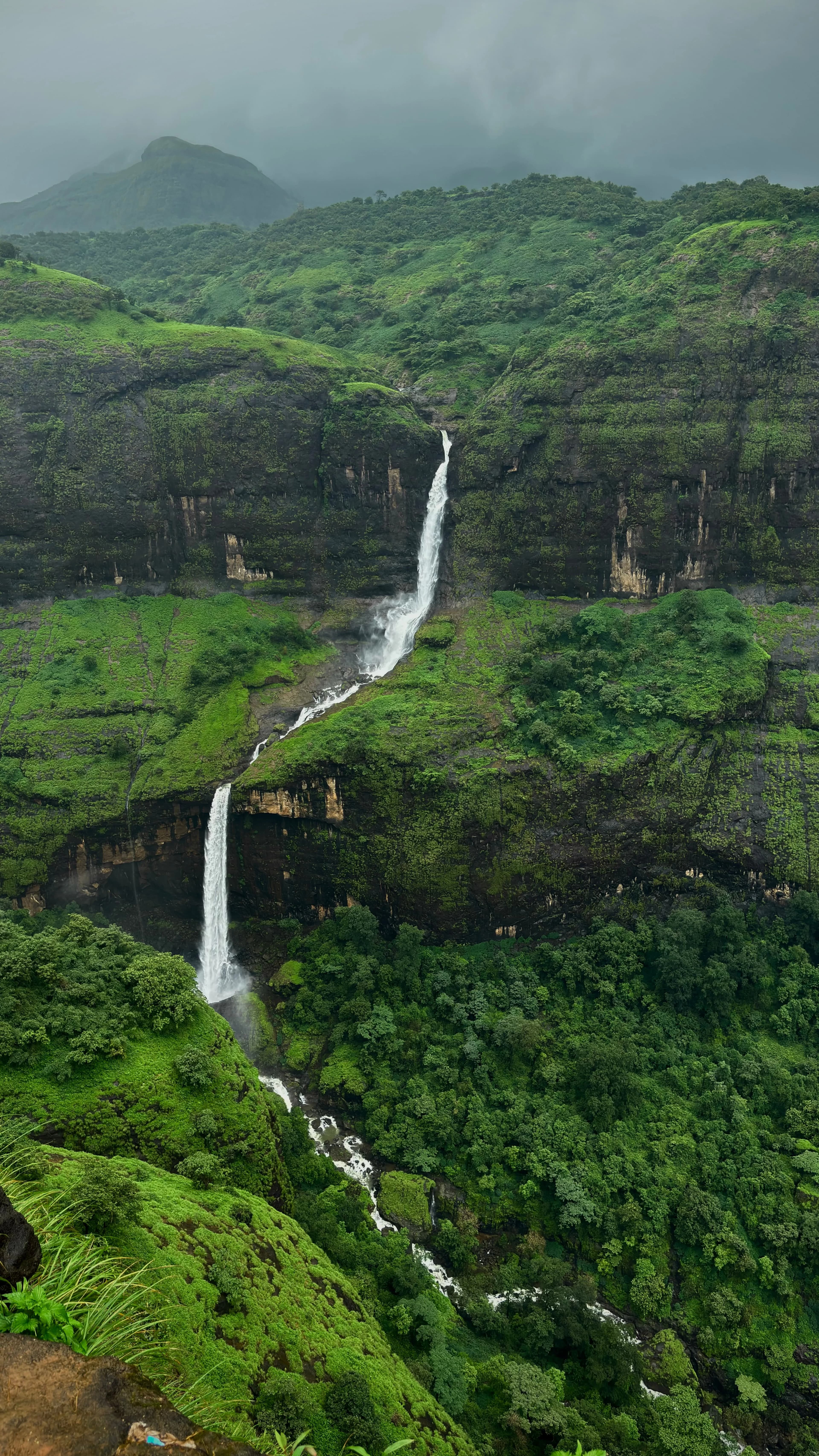 Shayadri