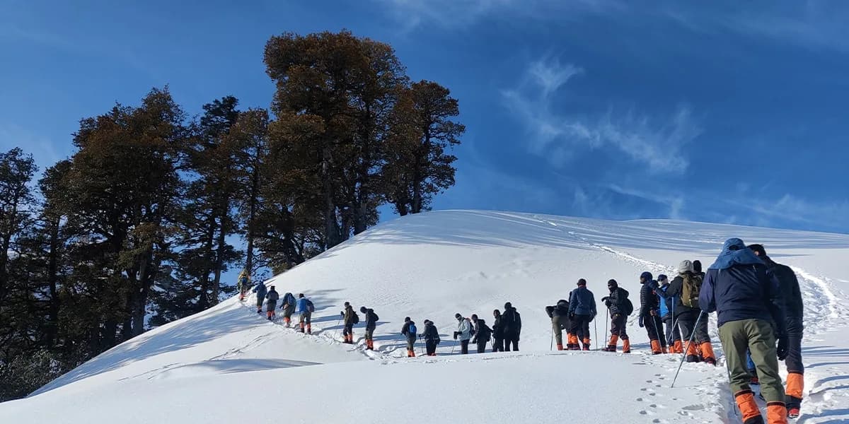 Snow Trekking photo 1