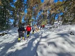 Snow Trekking