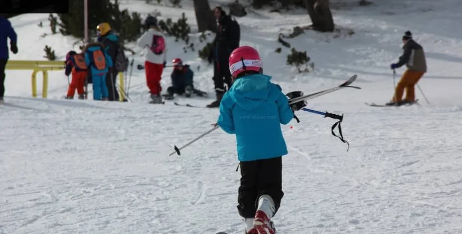 Beginner Skiing Course photo 1