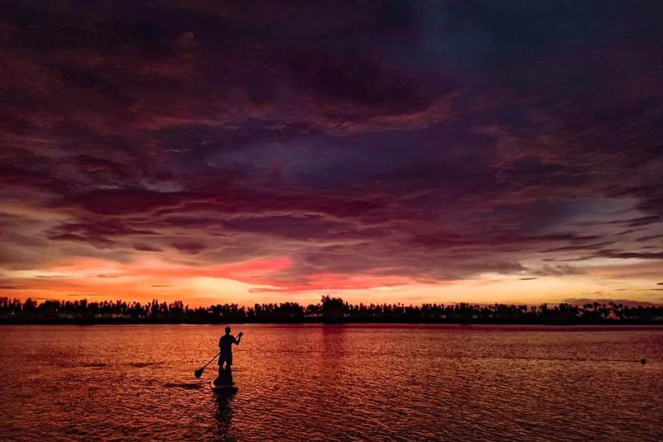 Explore the World with Level - 2SUP Course