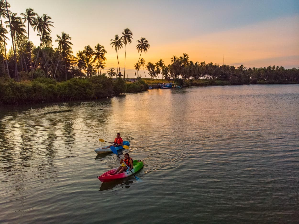 Guided Kayaking Tours