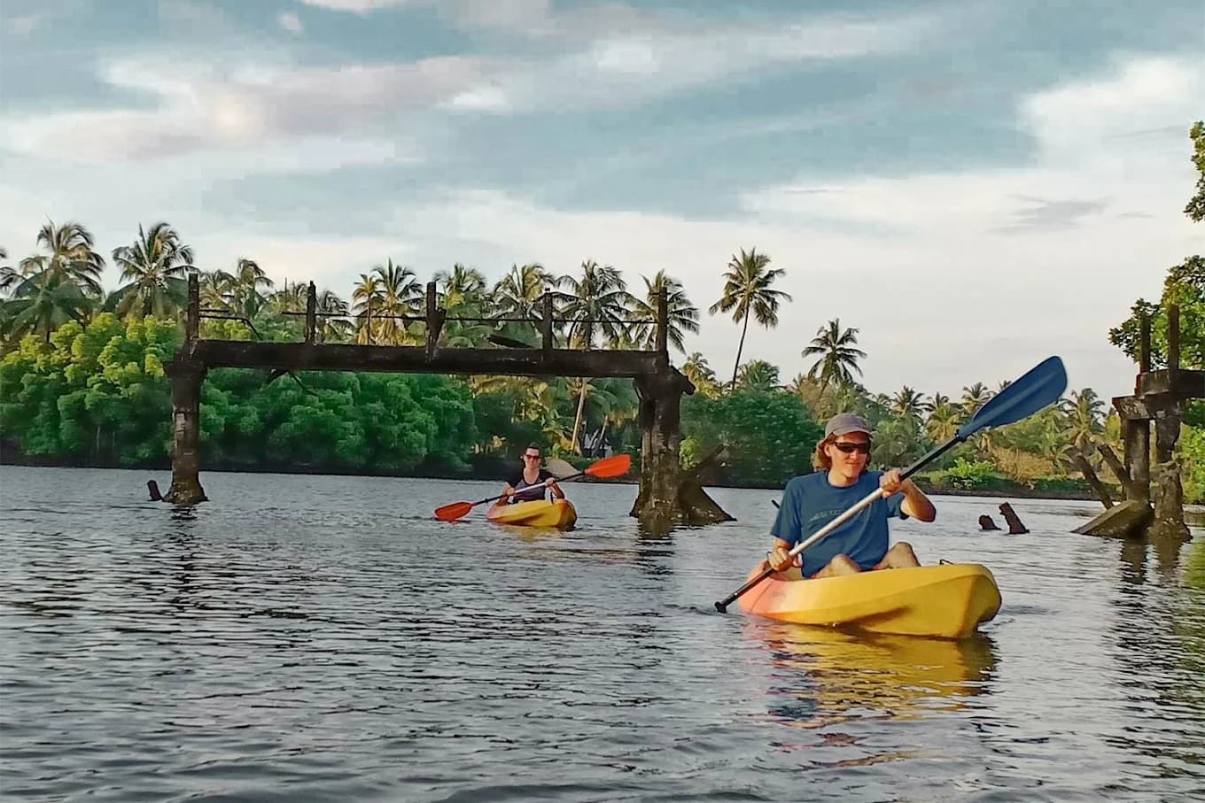 Guided Kayaking Tours